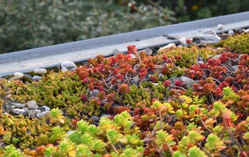 the cost of Bryngwran green roof installation
