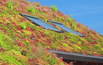 Bryngwran living roof systems