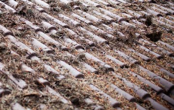 Bryngwran roof cleaning companies