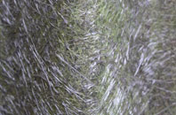 Bryngwran fibreglass roof work